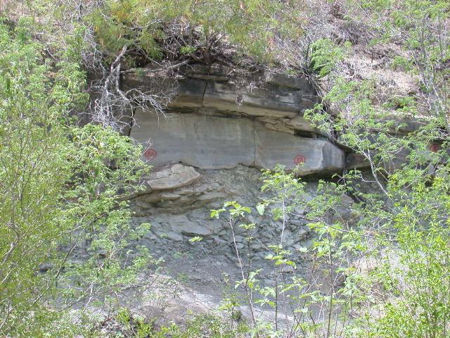 DSCN1109