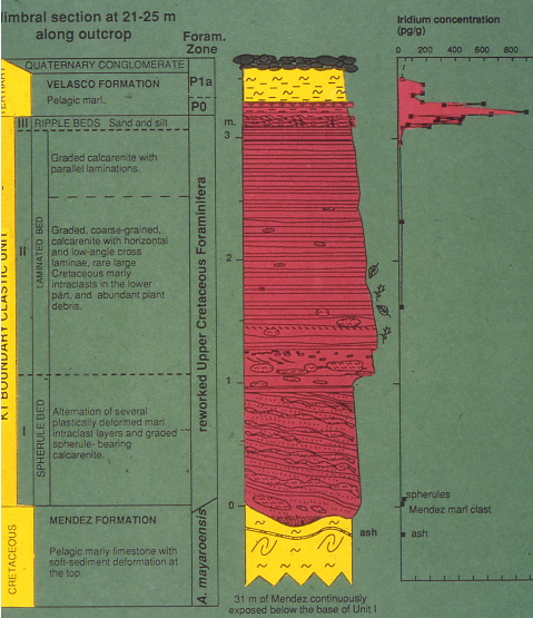 Mimbral Ir profile