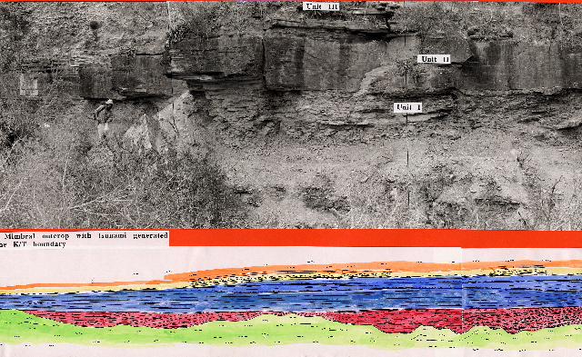 mimbral channels2