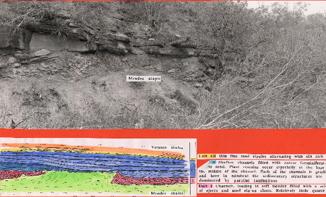 mimbral channels