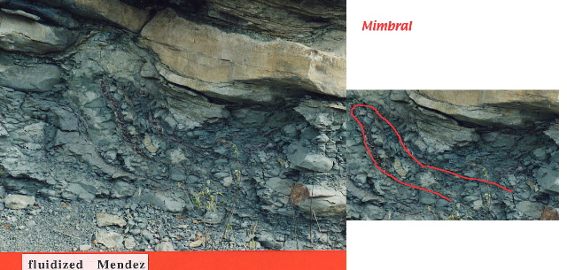 figured(enlargement+inset)