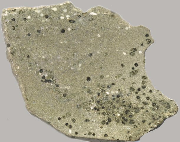 figure4adetail