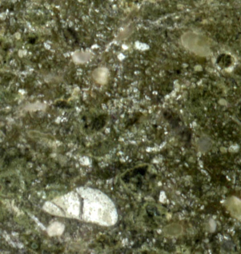 mimbrala