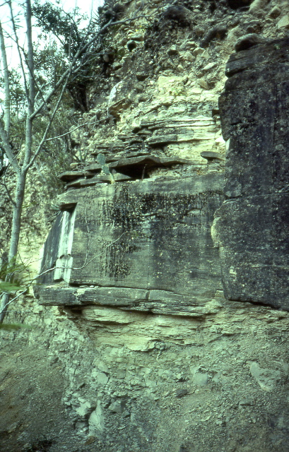 mimbral