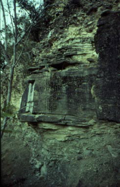mimbral1