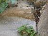 DSCN1076
