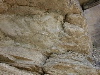 DSCN1077