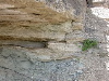 DSCN1066