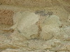 DSCN1090
