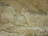 DSCN1091