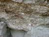 DSCN1093