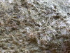 DSCN1101