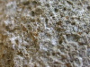 DSCN1102