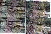 mimbr_stereo