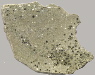 figure4adetail