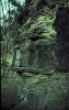 mimbral1