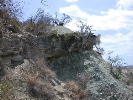 DSCN1236
