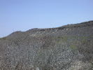 DSCN1222