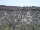 DSCN1225
