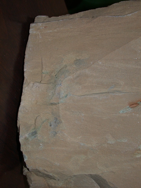 DSCN1544