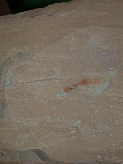 DSCN1545