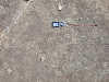 DSCN1157