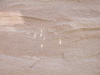 DSCN1163