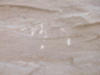 DSCN1164