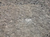 DSCN1168
