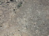 DSCN1170