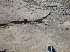 DSCN1171
