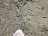 DSCN1172