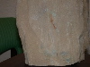 DSCN1538