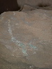 DSCN1541
