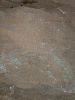 DSCN1542