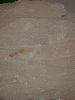 DSCN1543