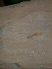 DSCN1545