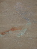 DSCN1546