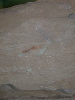 DSCN1547