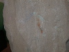 DSCN1549