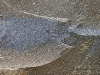 DSCN1151