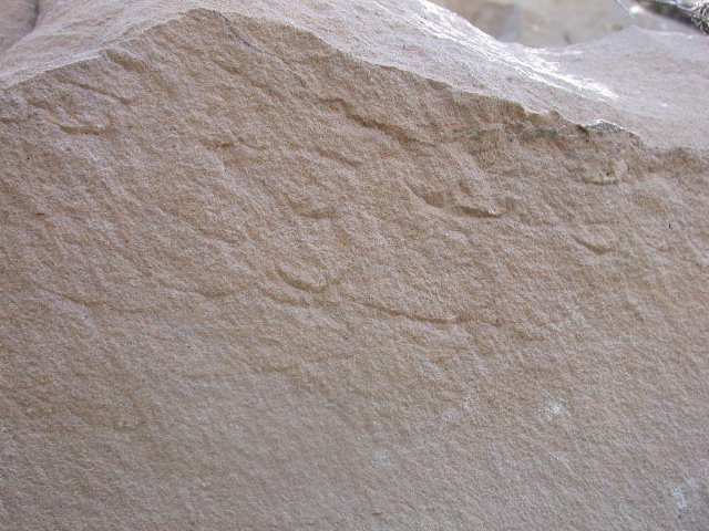 DSCN1221