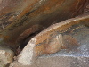 DSCN1219