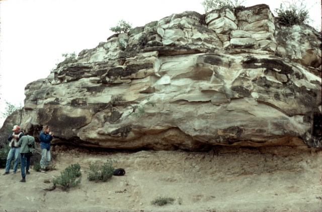 Rancho nuevo