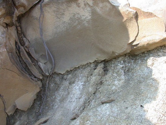 DSCN1198