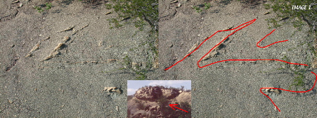 ranchoslump
