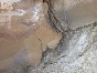 DSCN1197