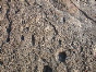 DSCN1204