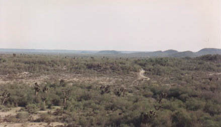 sierrita1