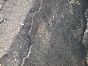 DSCN1284